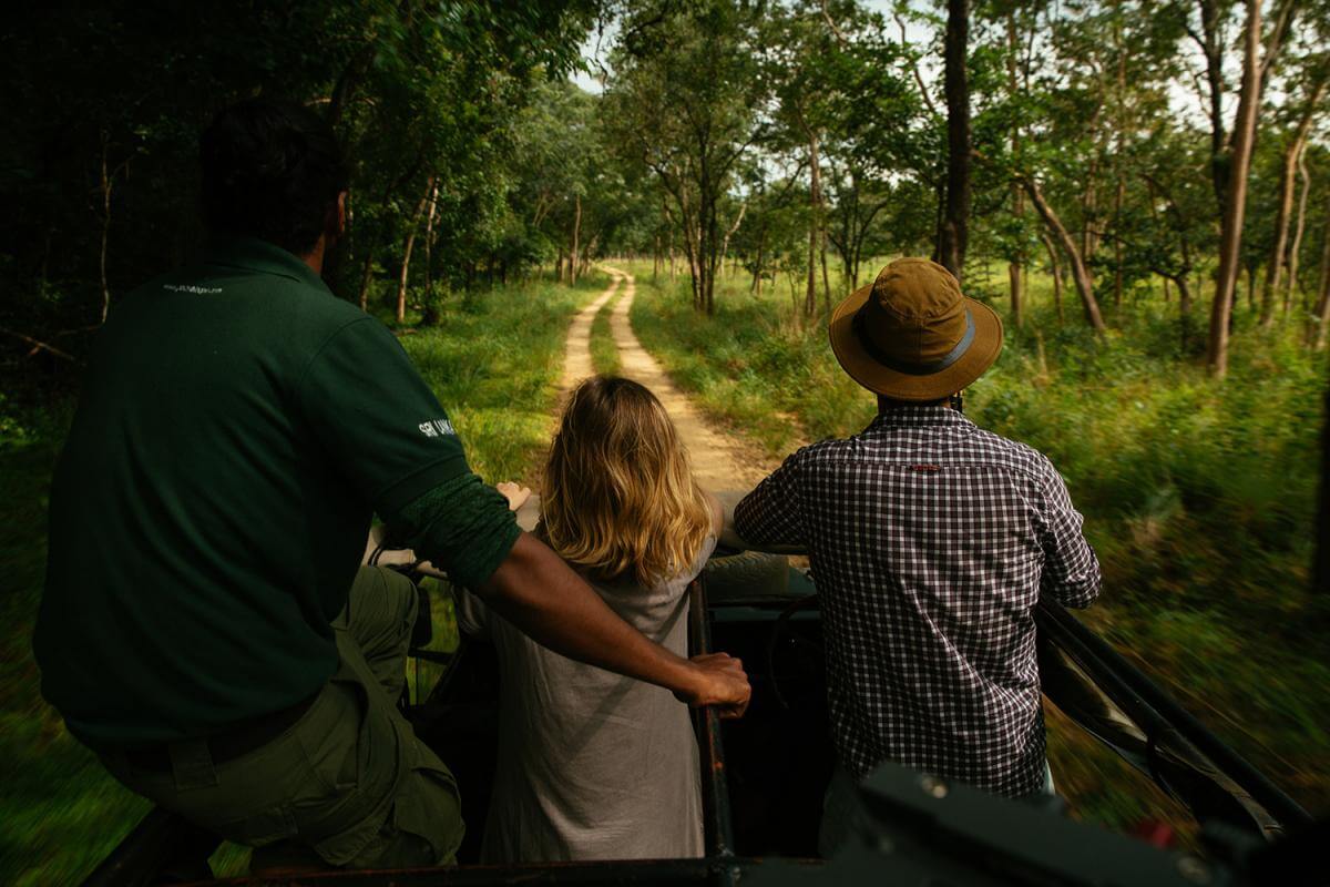 Sri Lanka Odyssey A Wild Adventure
